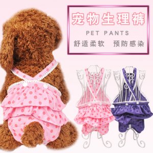狗狗背帶生理褲貼牌OEM/ODM