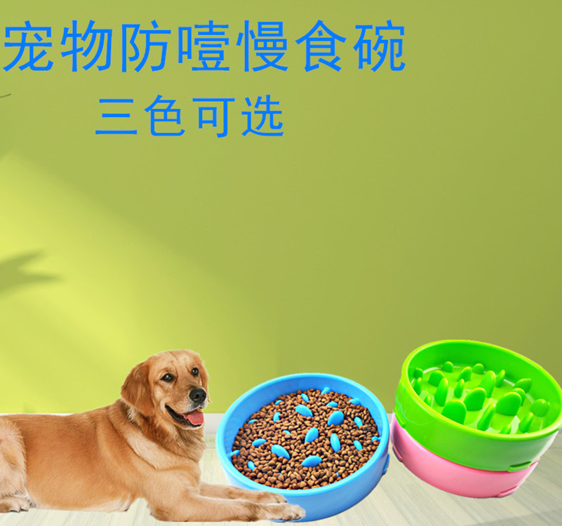 金華市逸仔寵物用品有限公司