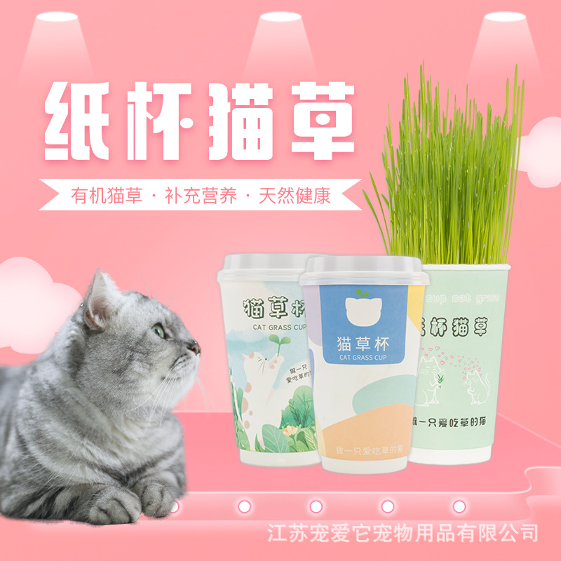 無土貓草奶茶杯可OEM/ODM代工