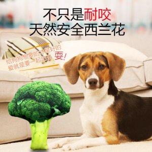 東莞市泰盈玩具有限公司