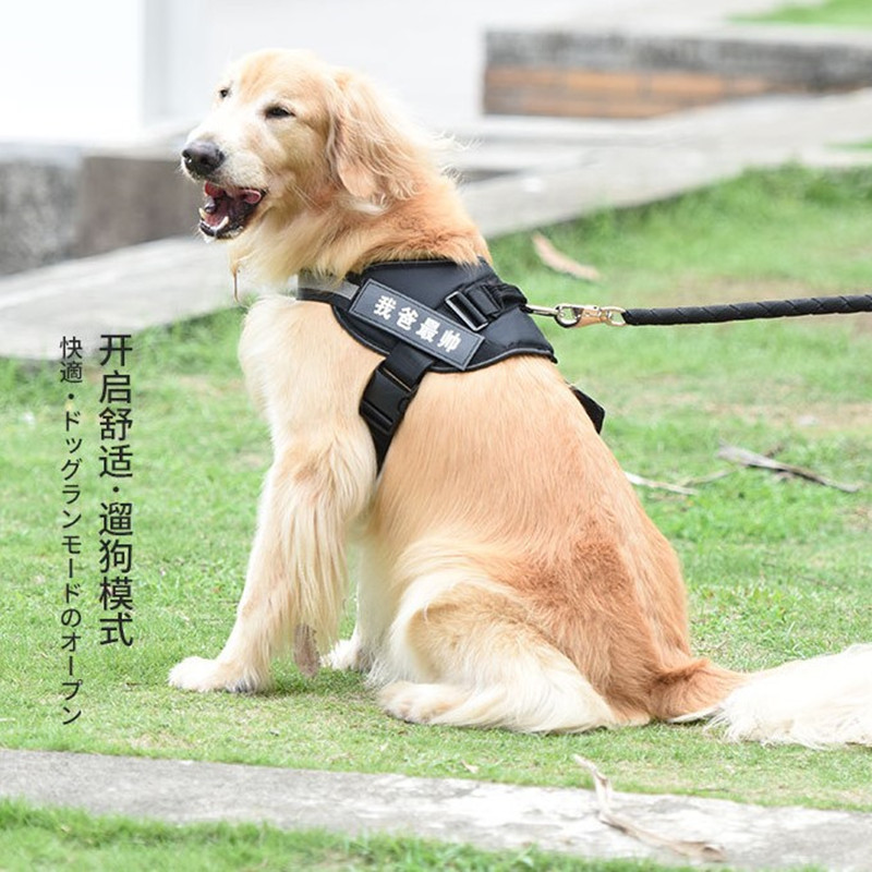 中大型犬狗鏈子可OEM/ODM代工