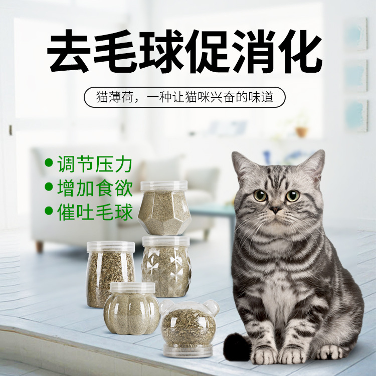 宿遷市貓女王寵物用品有限責任公司