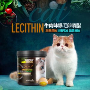 徐州肥宅寵物用品有限公司