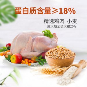 大型小型犬成幼犬狗糧代加工貼牌OEM/ODM