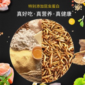 10kg狗糧昆蟲蛋白糧可OEM/ODM代工