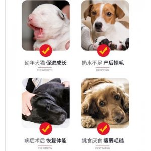寵物狗狗營養膏OEM/ODM定制代加工