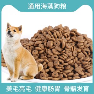 山東萊德寵物用品有限公司