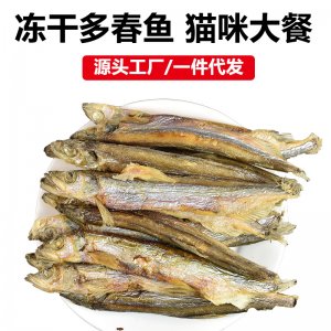 貓咪零食 貓零食發腮增肥凍干桶大禮包
