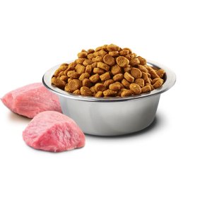 成犬狗糧顆粒代加工