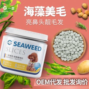 狗狗濃縮海藻美毛片