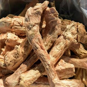 凍干貓零食狗狗肉干火雞脖子