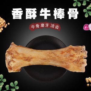 滄州冀寵寵物用品有限公司