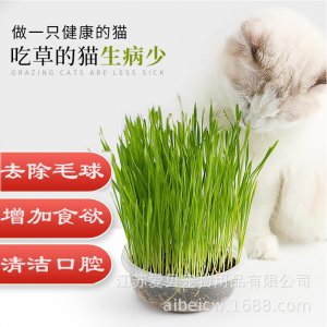 江蘇愛貝寵物用品有限公司