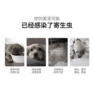 壹米動保阿維菌素透皮溶液貓犬0.5ml