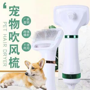 溫州丁寶工藝品有限公司
