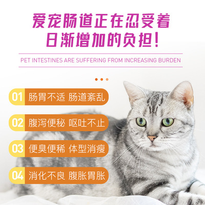 南京七彩屋寵物用品有限公司