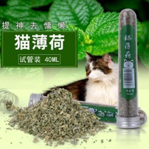 貓薄荷葉粉 40ML