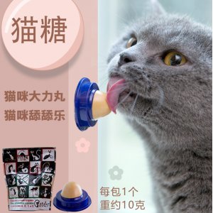 貓?zhí)翘蛱驑?>
									<div   id=