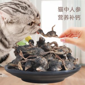 冠本鵪鶉凍干貓零食