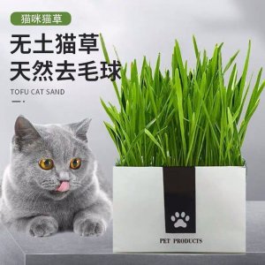 淮安靈狗寵物有限公司