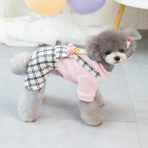 狗衣服小狗體恤寵物服裝