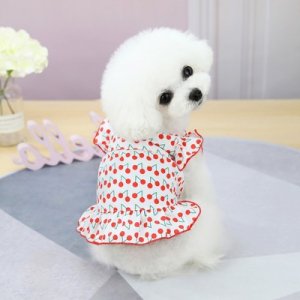 寵物衣服小狗裙子春夏泰迪雪納瑞小型犬