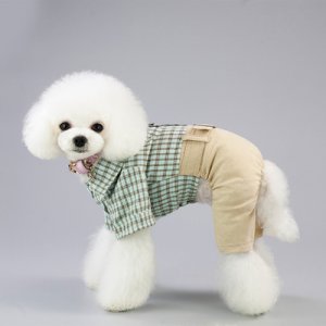 狗服裝