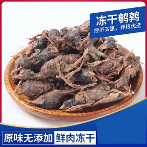吉萌凍干鵪鶉貓犬500g