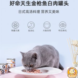 大連士申達科技有限公司