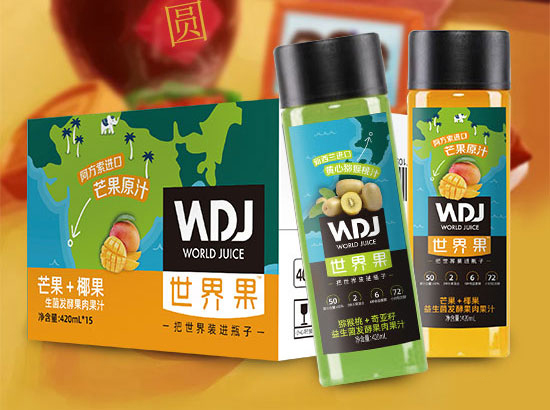 世界果益生菌發(fā)酵果汁2.jpg