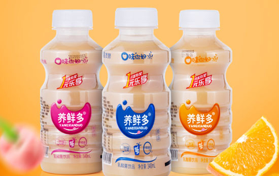 養鮮多乳酸菌飲品.jpg