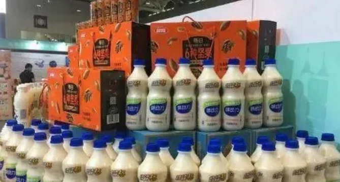 乳酸菌.png