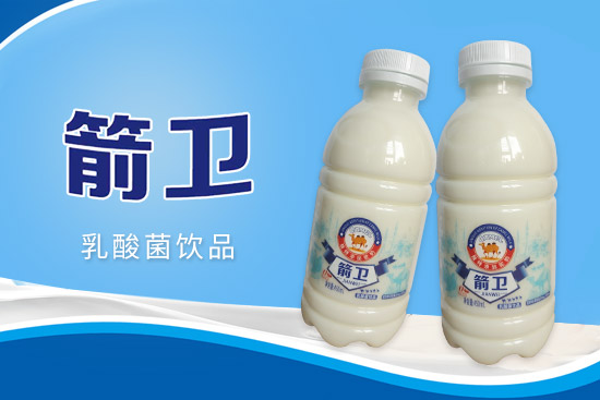 箭衛(wèi)駝奶乳酸菌1.jpg