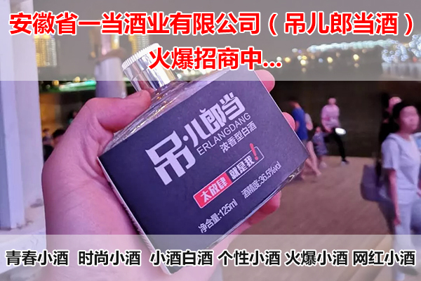 安徽省一當酒業有限公司2.jpg
