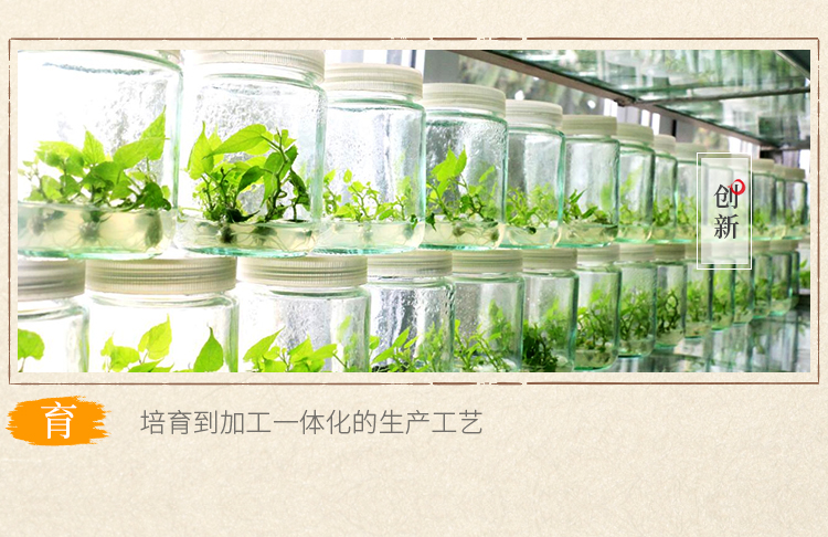 風(fēng)味+茶膏2片_06.jpg