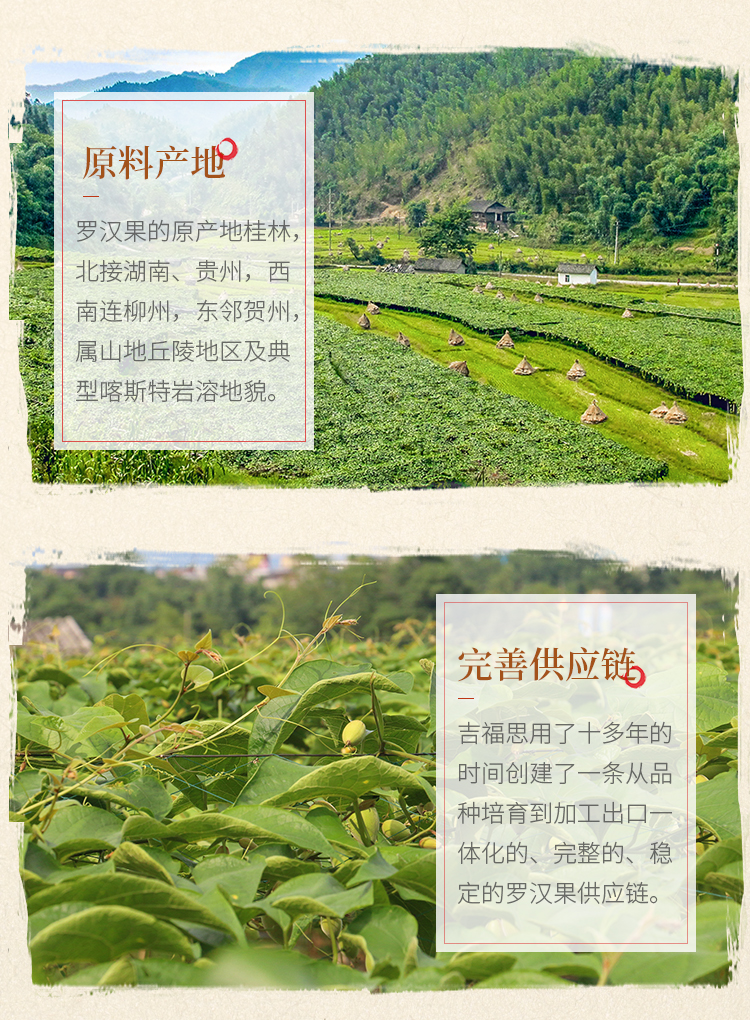 干果-07.jpg