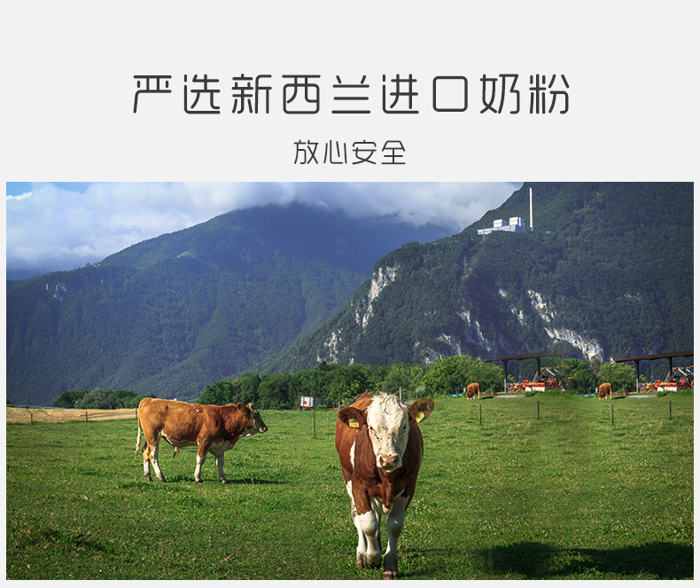 mini純脂巧克力_05.jpg