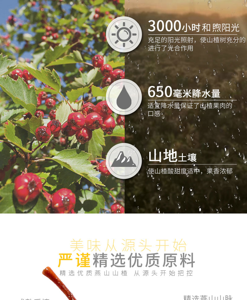 栗源多果多滋238g山楂罐頭簡介_07.jpg
