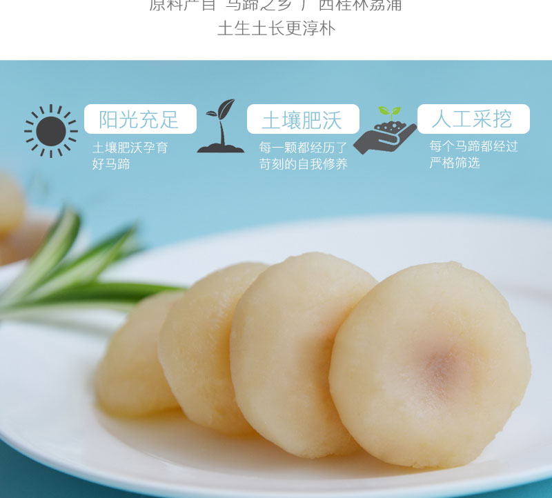 栗源冰糖脆馬蹄簡介_04.jpg