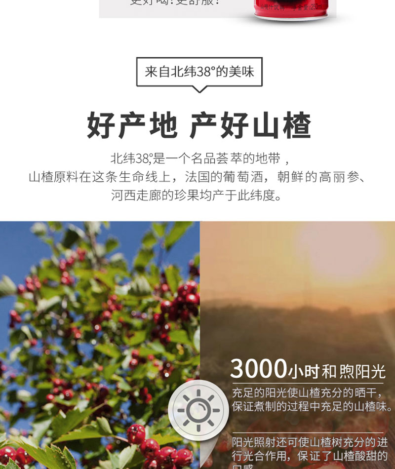 栗源媽媽煮山楂飲料250ml簡介_08.jpg