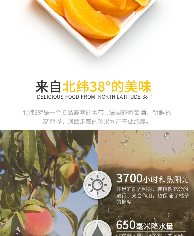 栗源多果多滋238g黃桃罐頭簡介_06.jpg
