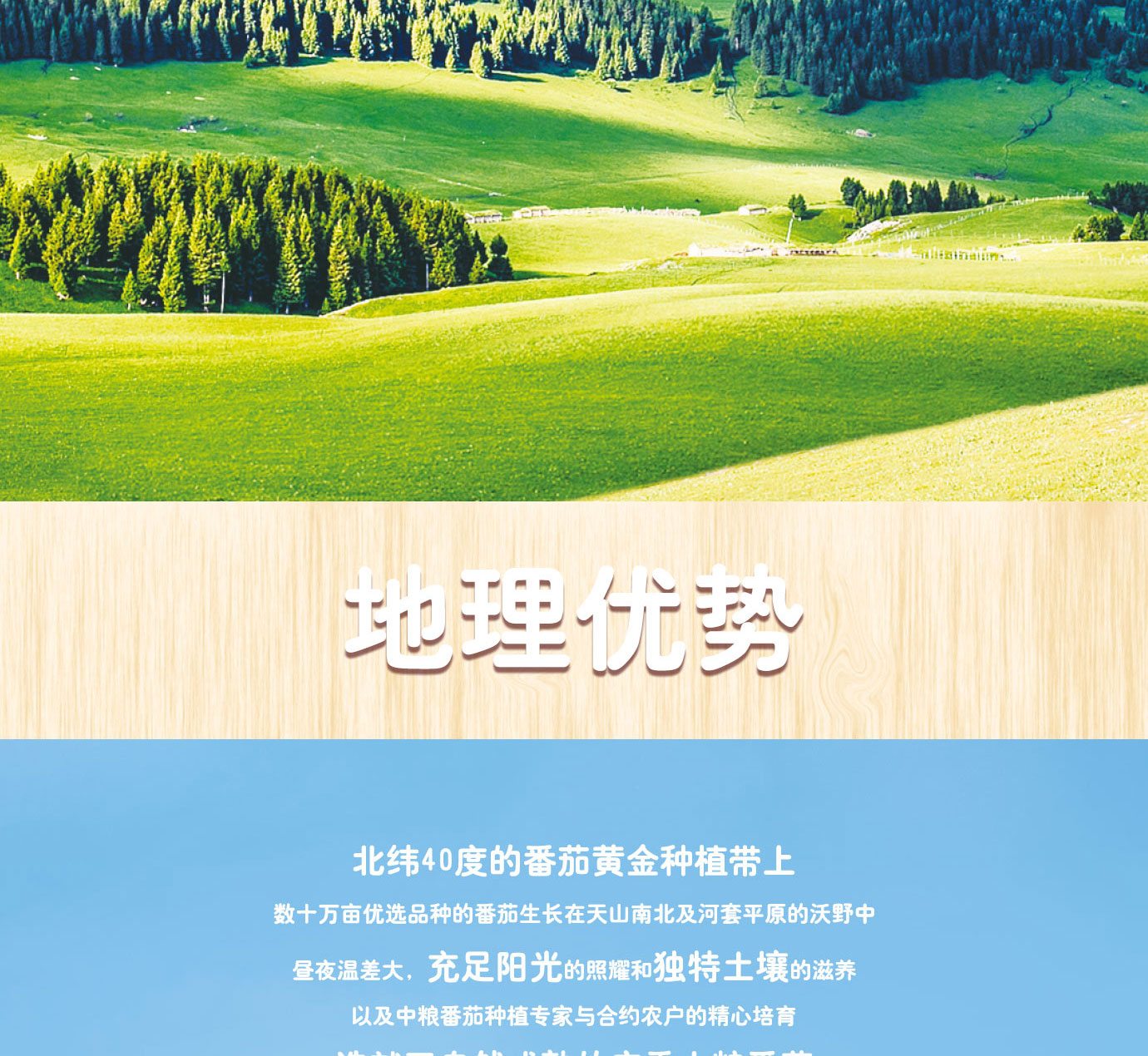 大桶番茄醬簡(jiǎn)介_(kāi)02.jpg