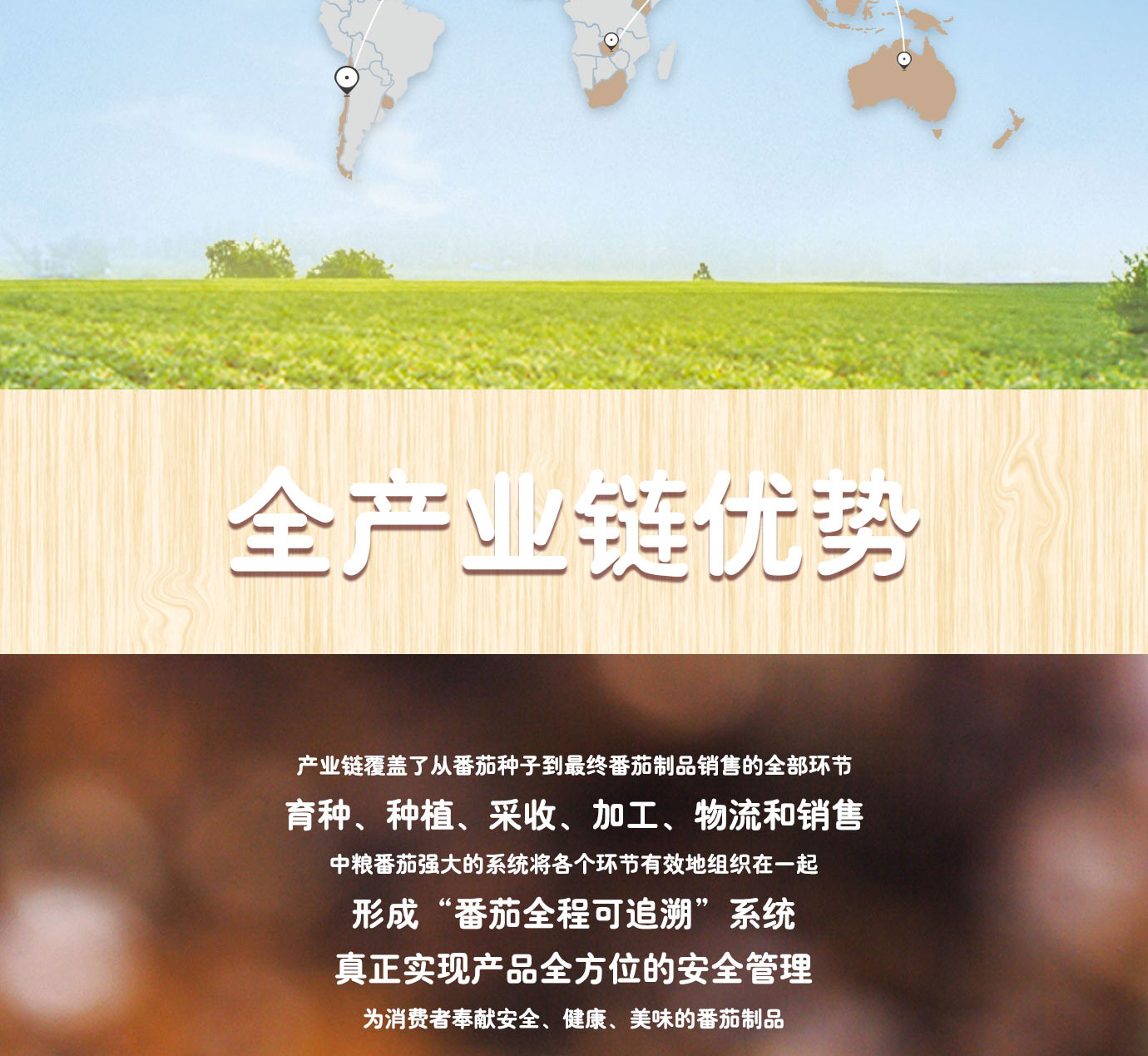 大桶番茄醬簡(jiǎn)介_(kāi)05.jpg