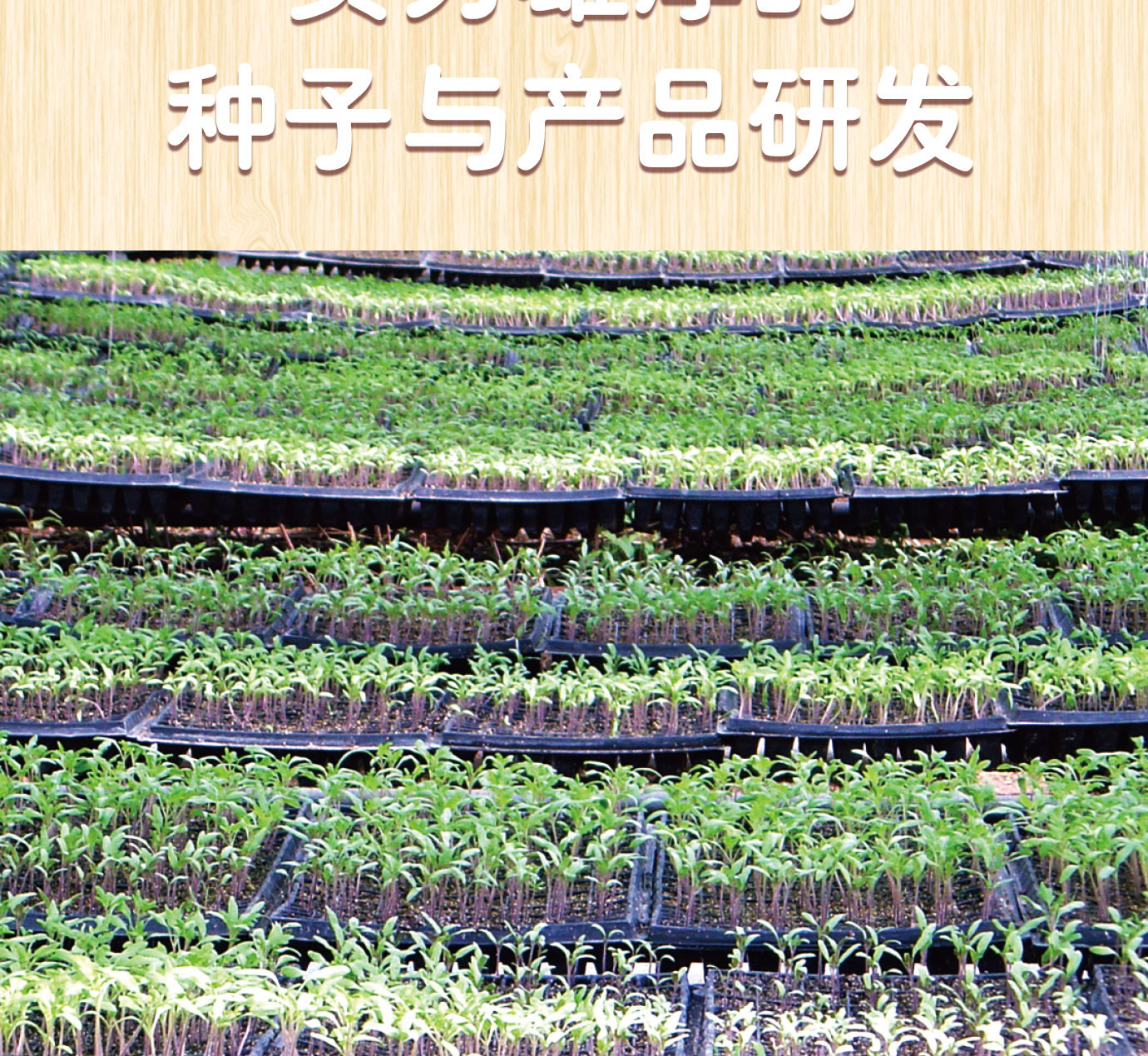 大桶番茄醬簡(jiǎn)介_(kāi)07.jpg