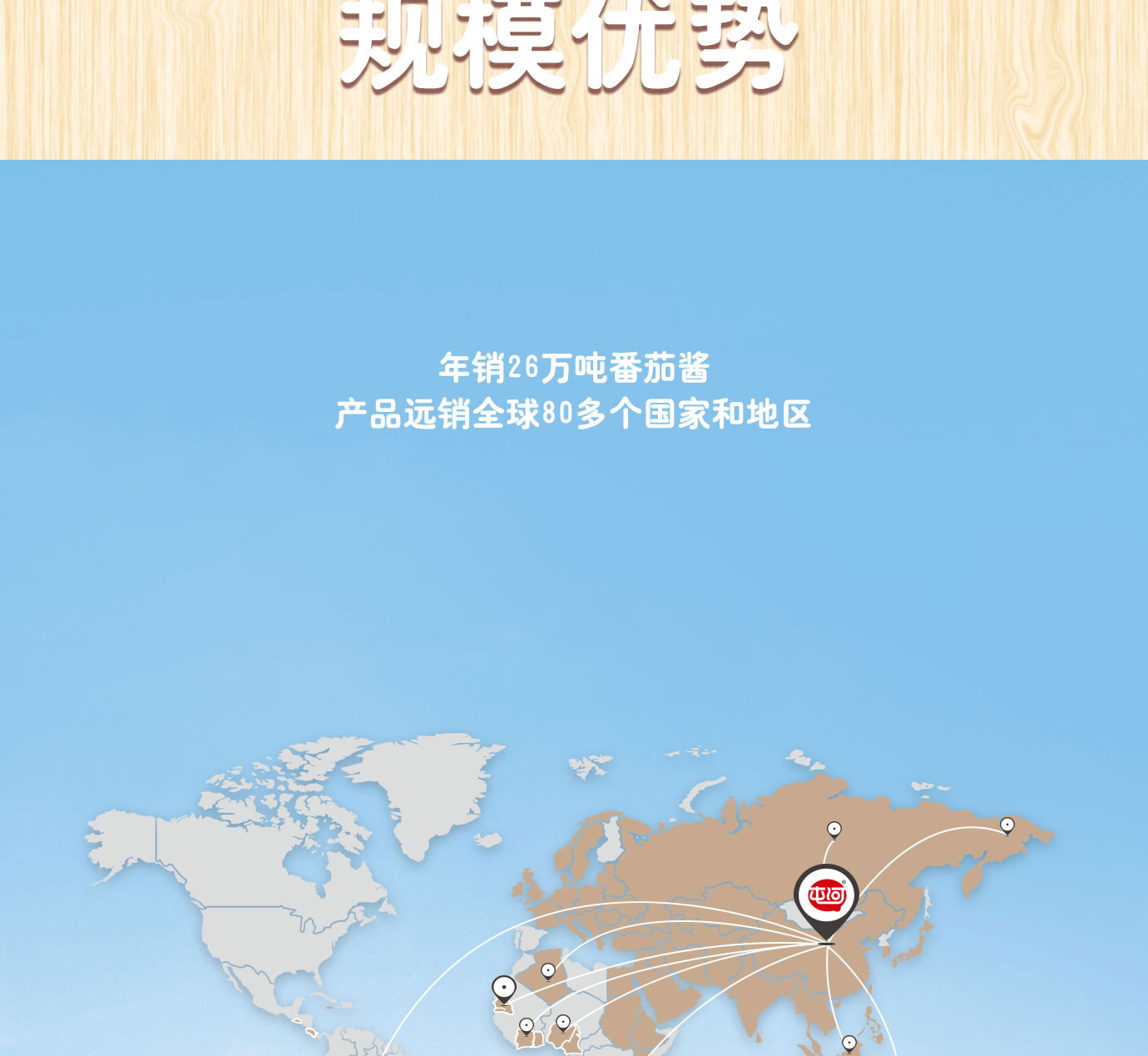 大桶番茄醬簡(jiǎn)介_(kāi)04.jpg
