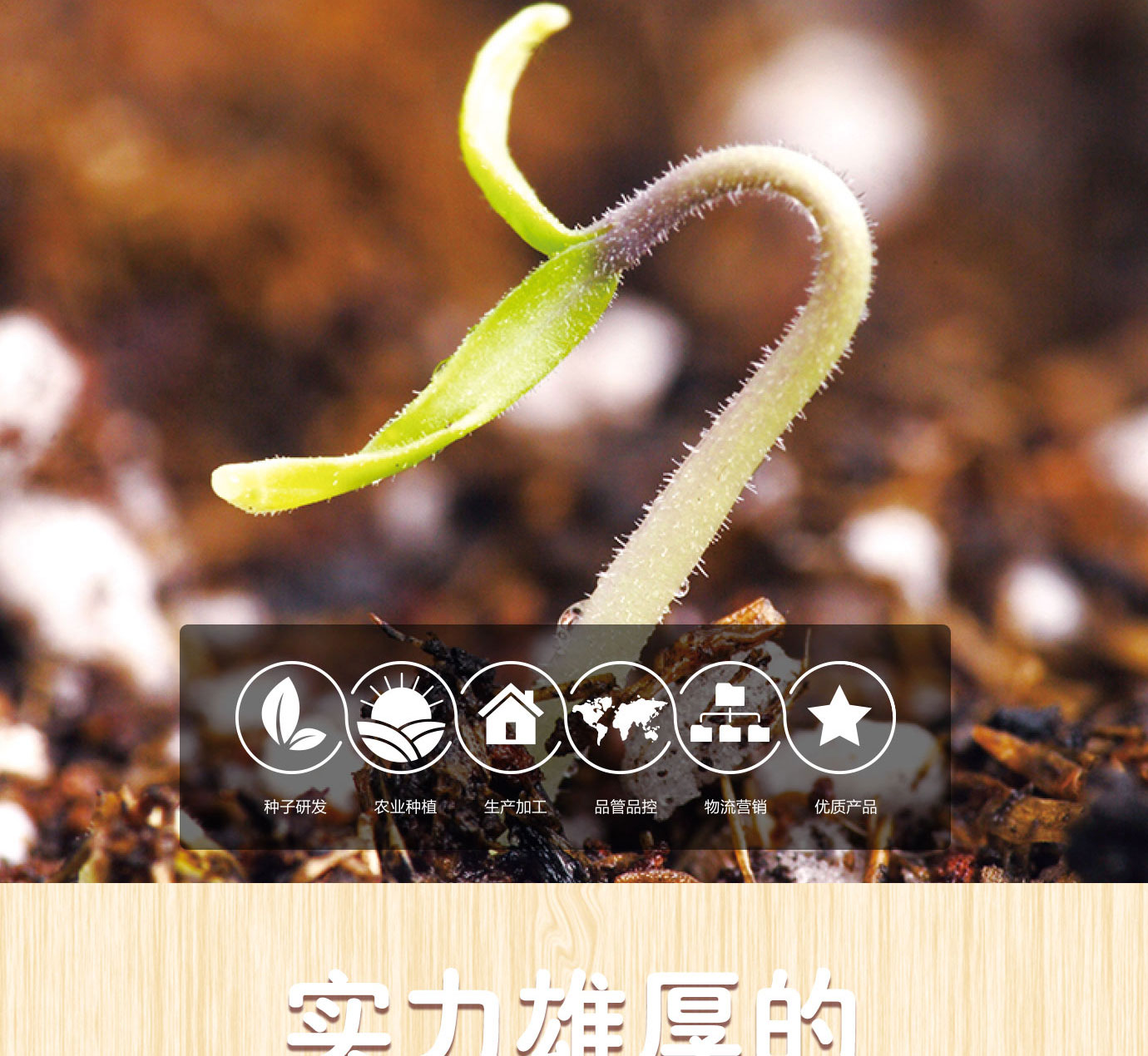大桶番茄醬簡(jiǎn)介_(kāi)06.jpg