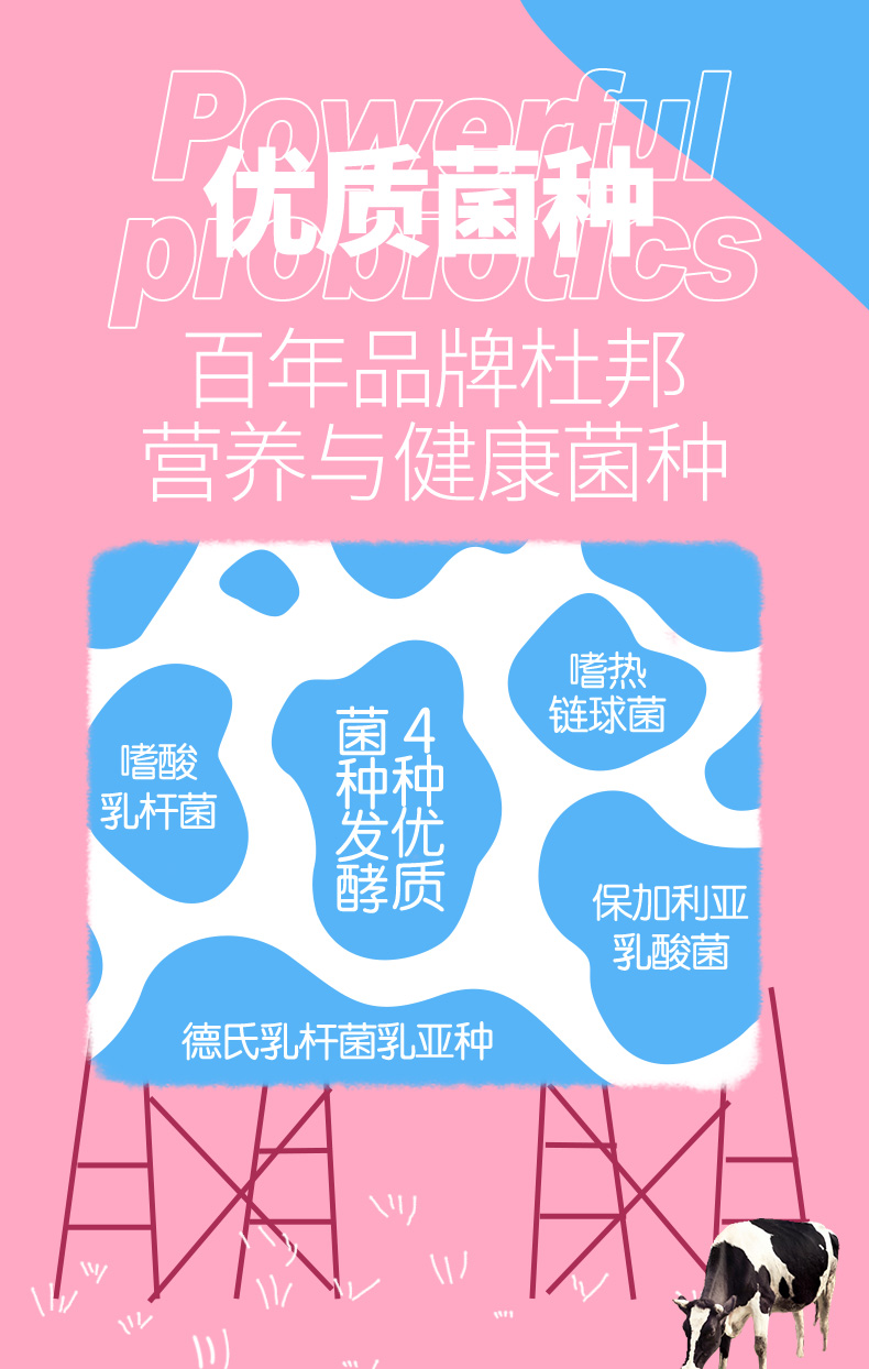 界界樂乳酸菌40瓶草莓味簡介7.jpeg