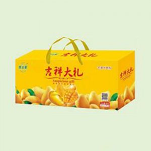 壹吉果誘人芒果汁吉祥大禮盒裝