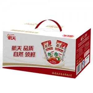 航天原味椰汁植物蛋白飲料245ml×12罐