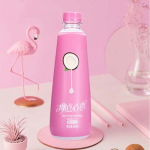 椰點心意椰子汁粉瓶裝450ml